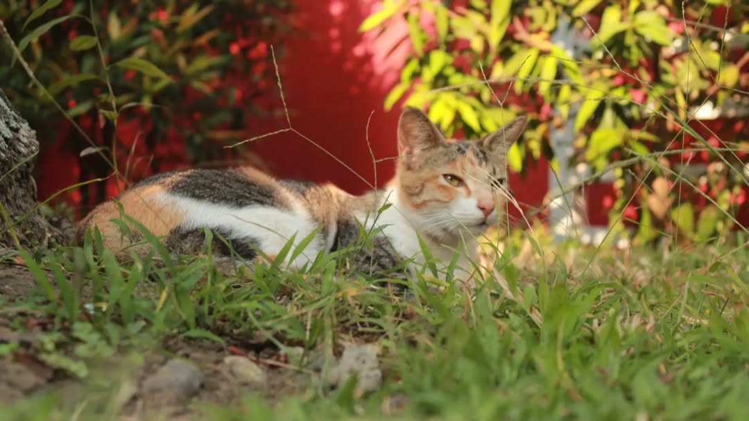 Photography 2